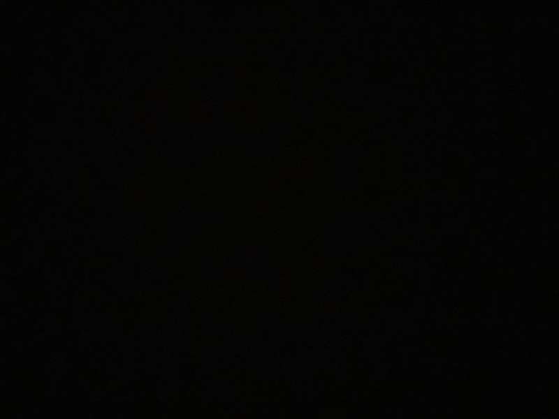 Ana Paula Alves do Prado